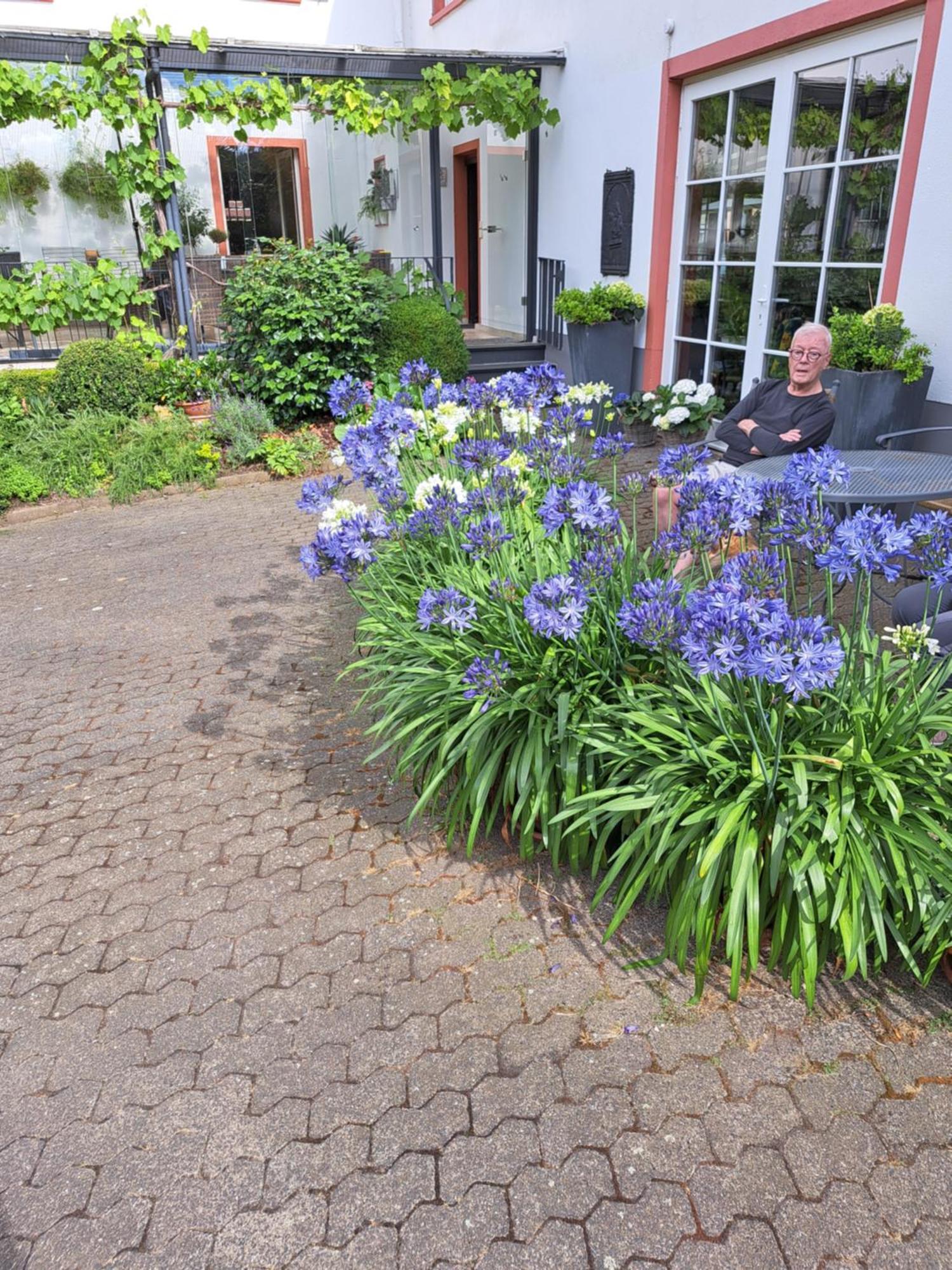 Landhauskiebel Erden Zewnętrze zdjęcie